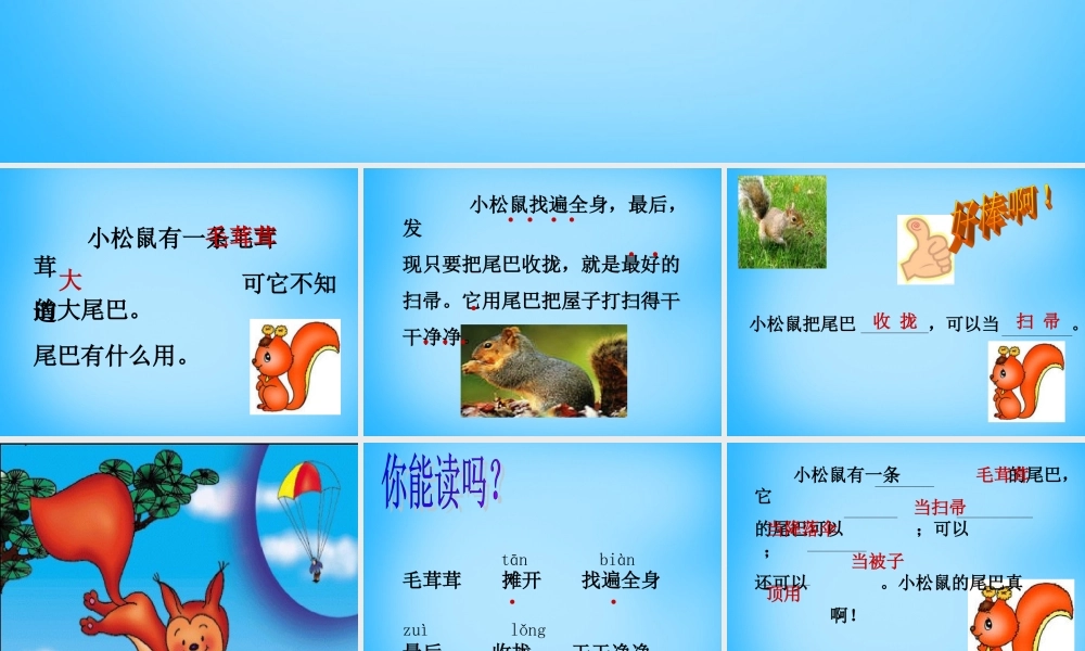 秋二年级语文上册《松鼠的尾巴》课件1 沪教版-沪教版小学二年级上册语文课件