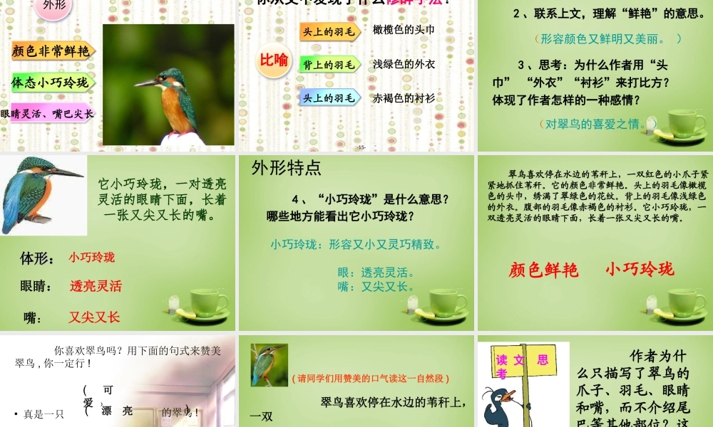 秋三年级语文上册《翠鸟》课件5 北师大版-北师大版小学三年级上册语文课件
