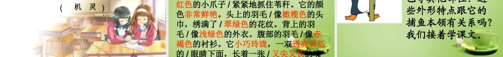 秋三年级语文上册《翠鸟》课件5 北师大版-北师大版小学三年级上册语文课件