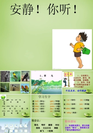秋三年级语文上册《翠鸟》课件5 北师大版-北师大版小学三年级上册语文课件