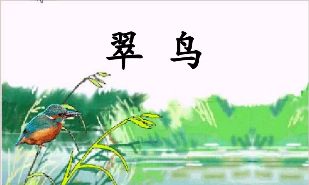 秋三年级语文上册《翠鸟》课件6 北师大版-北师大版小学三年级上册语文课件