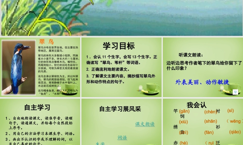 秋三年级语文上册《翠鸟》课件6 北师大版-北师大版小学三年级上册语文课件