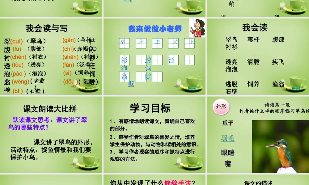 秋三年级语文上册《翠鸟》课件6 北师大版-北师大版小学三年级上册语文课件