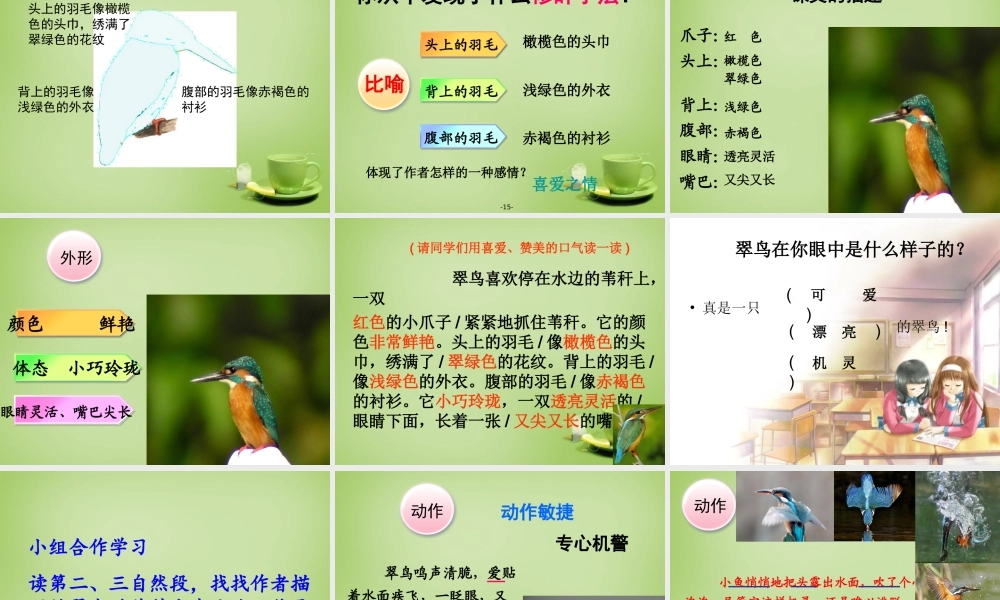 秋三年级语文上册《翠鸟》课件6 北师大版-北师大版小学三年级上册语文课件