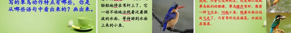 秋三年级语文上册《翠鸟》课件6 北师大版-北师大版小学三年级上册语文课件