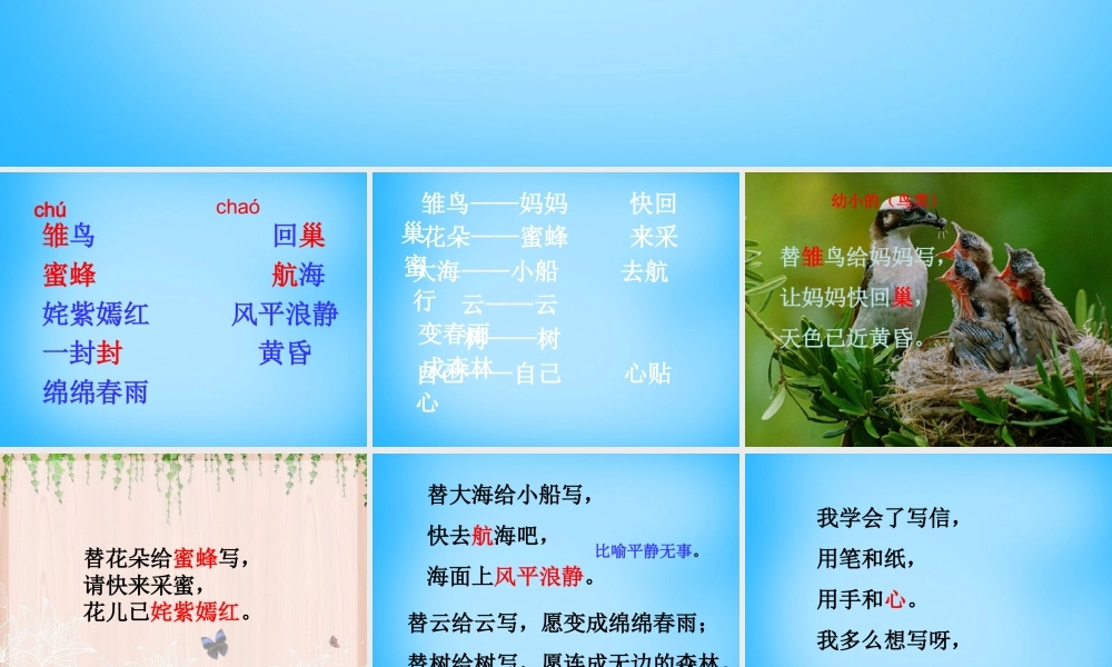 秋三年级语文上册《信》课件3 沪教版-沪教版小学三年级上册语文课件