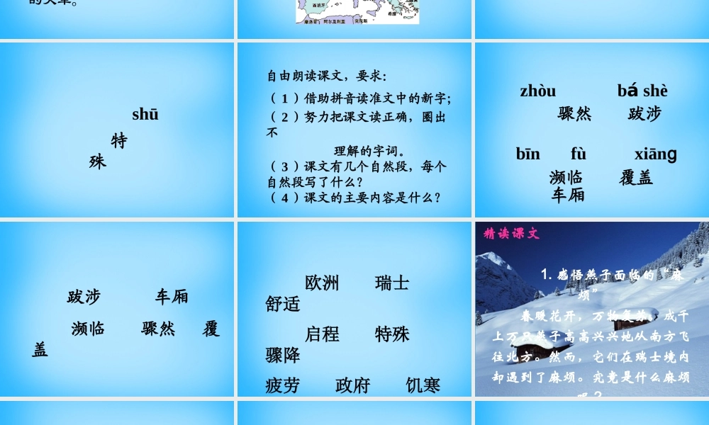 秋三年级语文上册《燕子专列》课件1 沪教版-沪教版小学三年级上册语文课件