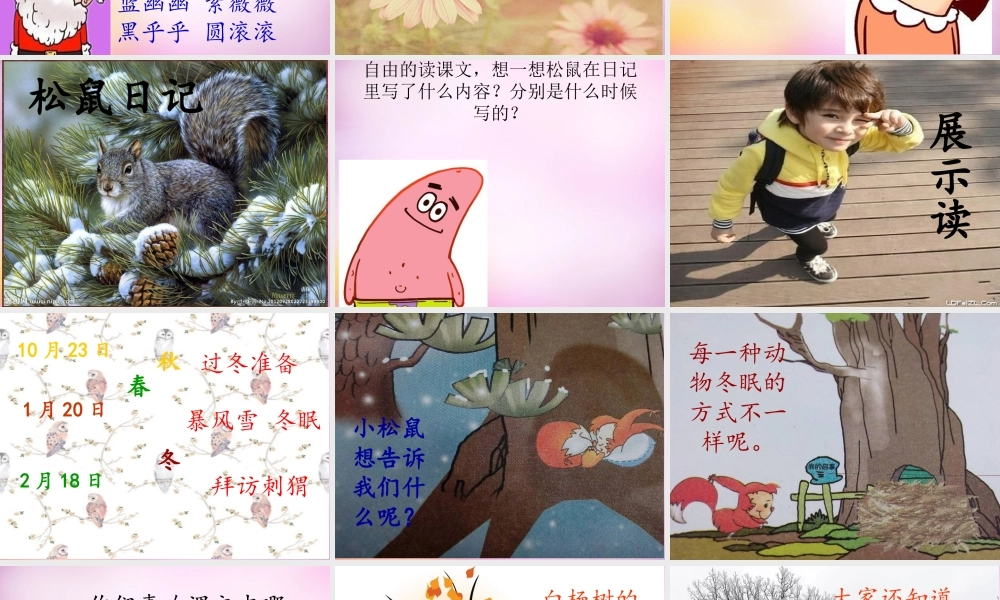 秋二年级语文上册《松鼠日记》课件3 北师大版-北师大版小学二年级上册语文课件