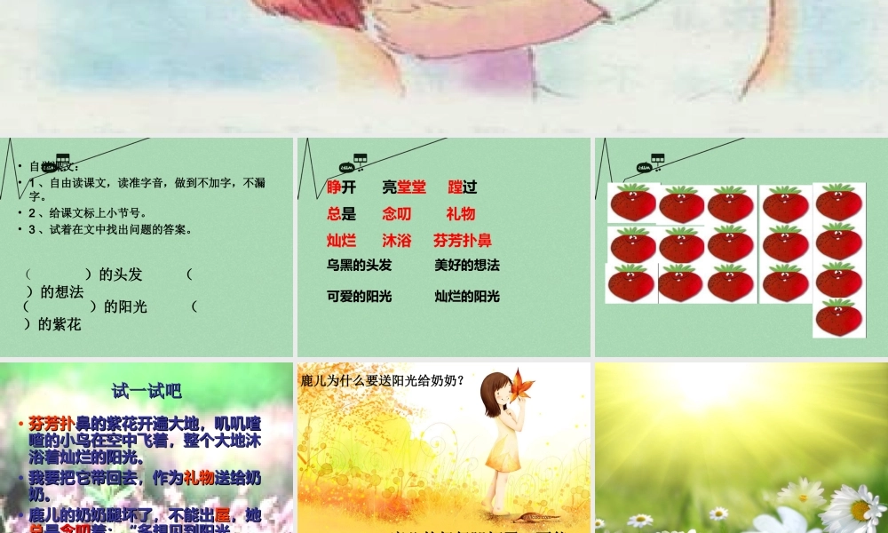 秋二年级语文上册《送给奶奶的阳光》课件 冀教版-冀教版小学二年级上册语文课件