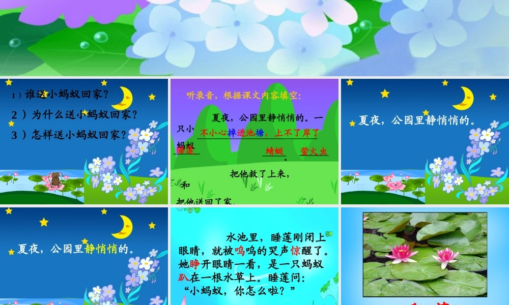 秋二年级语文上册《送小蚂蚁回家》课件1 沪教版-沪教版小学二年级上册语文课件