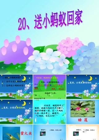 秋二年级语文上册《送小蚂蚁回家》课件1 沪教版-沪教版小学二年级上册语文课件