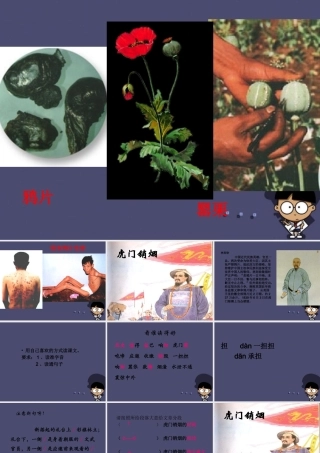 秋三年级语文上册《虎门销烟》课件2 冀教版-冀教版小学三年级上册语文课件