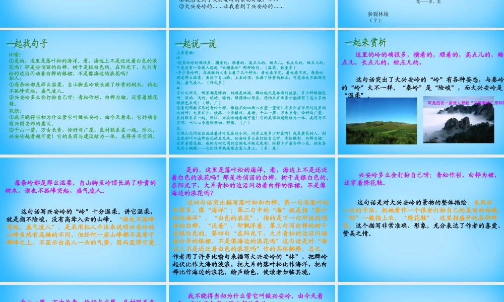 秋五年级语文上册《林海》课件1 沪教版-沪教版小学五年级上册语文课件