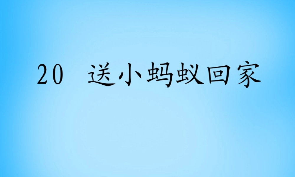 秋二年级语文上册《送小蚂蚁回家》课件3 沪教版-沪教版小学二年级上册语文课件