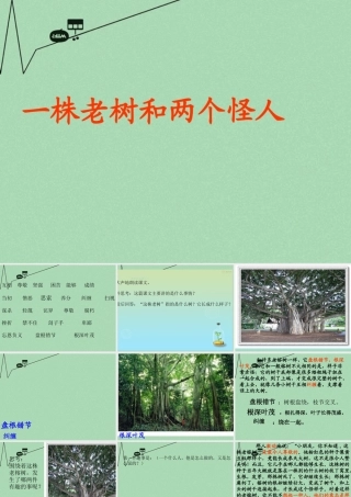 秋三年级语文上册《一株老树和两个怪人》课件2 冀教版-冀教版小学三年级上册语文课件