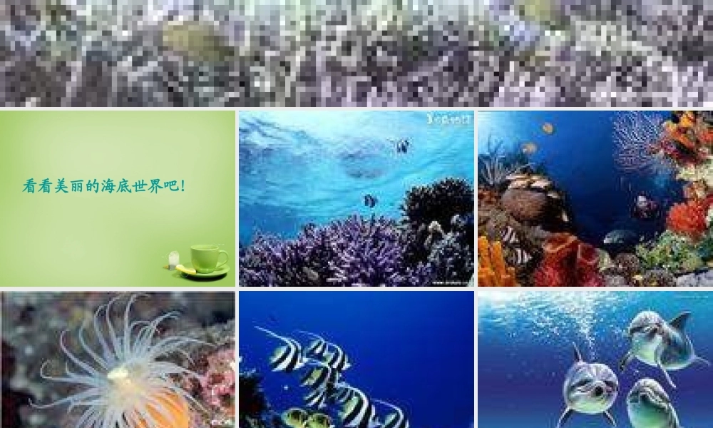 秋三年级语文上册《画里少了什么》课件1 北师大版-北师大版小学三年级上册语文课件