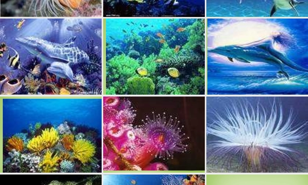 秋三年级语文上册《画里少了什么》课件1 北师大版-北师大版小学三年级上册语文课件