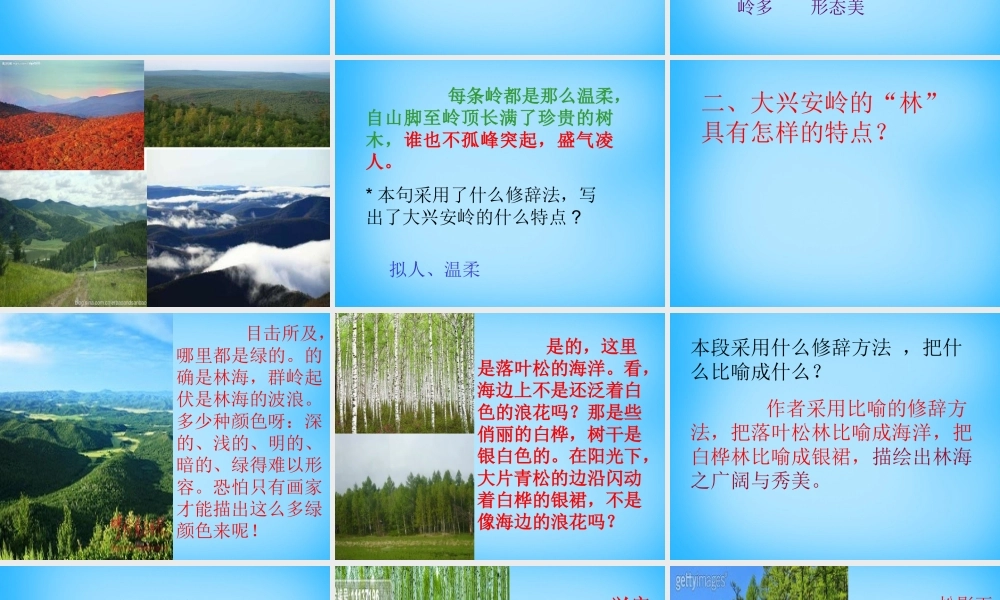 秋五年级语文上册《林海》课件3 沪教版-沪教版小学五年级上册语文课件