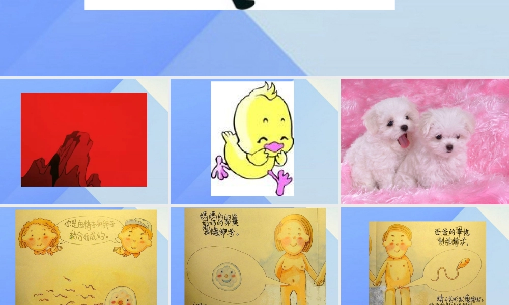 秋五年级科学上册 4.1《我从哪里来》课件1 大象版-大象版小学五年级上册自然科学课件