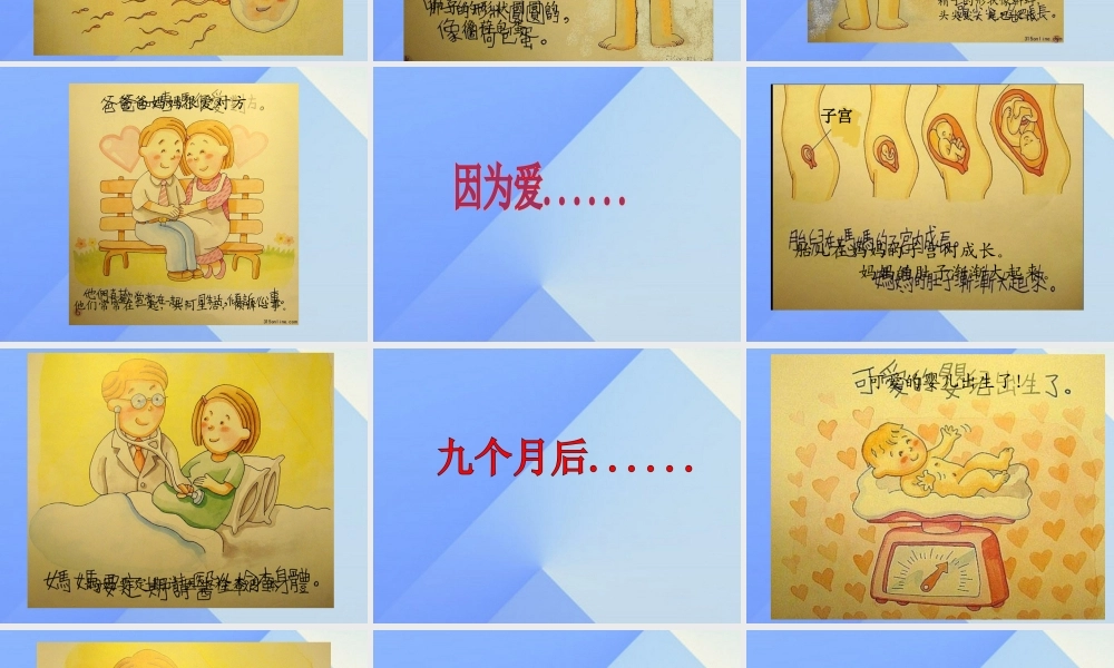 秋五年级科学上册 4.1《我从哪里来》课件1 大象版-大象版小学五年级上册自然科学课件