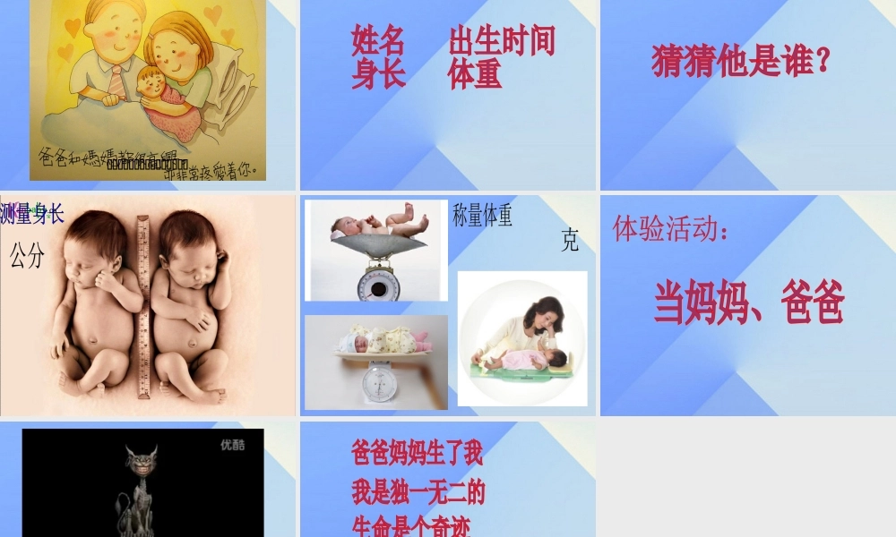 秋五年级科学上册 4.1《我从哪里来》课件1 大象版-大象版小学五年级上册自然科学课件