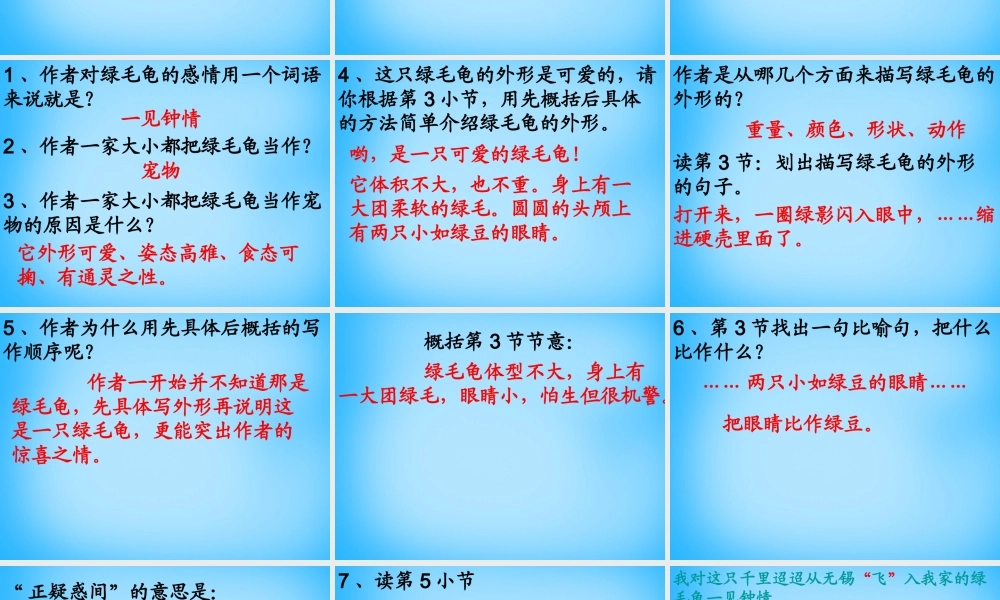 秋五年级语文上册《绿毛龟》课件1 沪教版-沪教版小学五年级上册语文课件