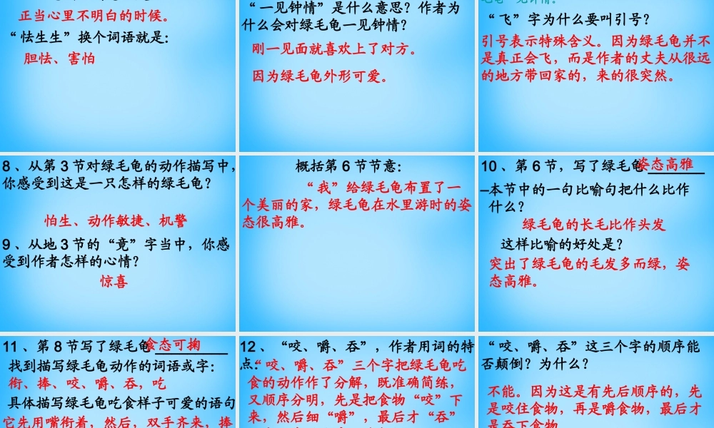 秋五年级语文上册《绿毛龟》课件1 沪教版-沪教版小学五年级上册语文课件