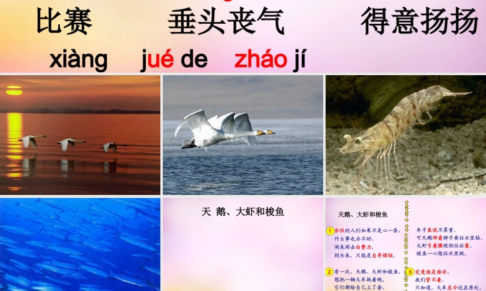 秋二年级语文上册《天鹅、大虾和梭鱼》课件4 北师大版-北师大版小学二年级上册语文课件