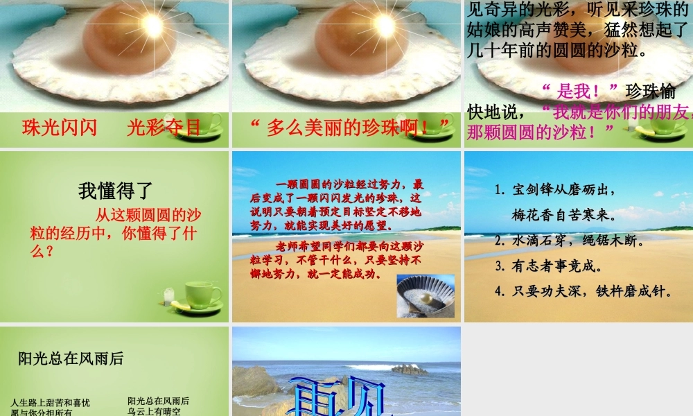 秋三年级语文上册《圆圆的沙粒》课件1 北师大版-北师大版小学三年级上册语文课件