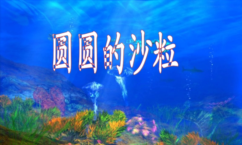 秋三年级语文上册《圆圆的沙粒》课件2 北师大版-北师大版小学三年级上册语文课件