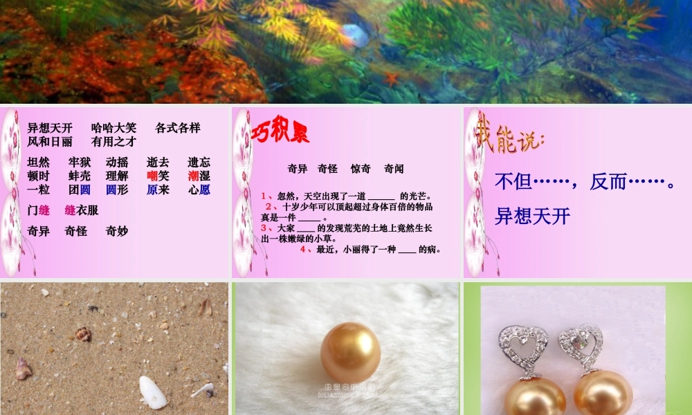 秋三年级语文上册《圆圆的沙粒》课件2 北师大版-北师大版小学三年级上册语文课件