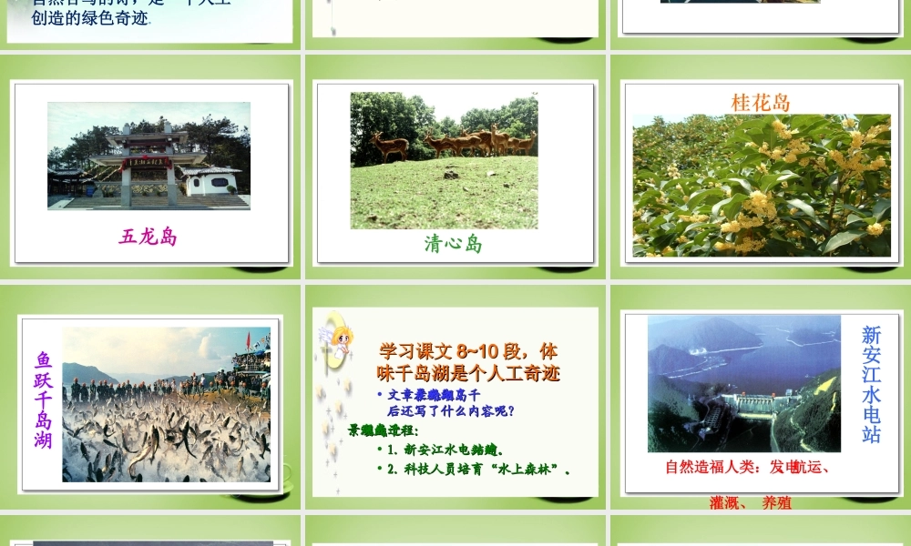 秋五年级语文上册《绿色千岛湖》课件3 北师大版-北师大版小学五年级上册语文课件
