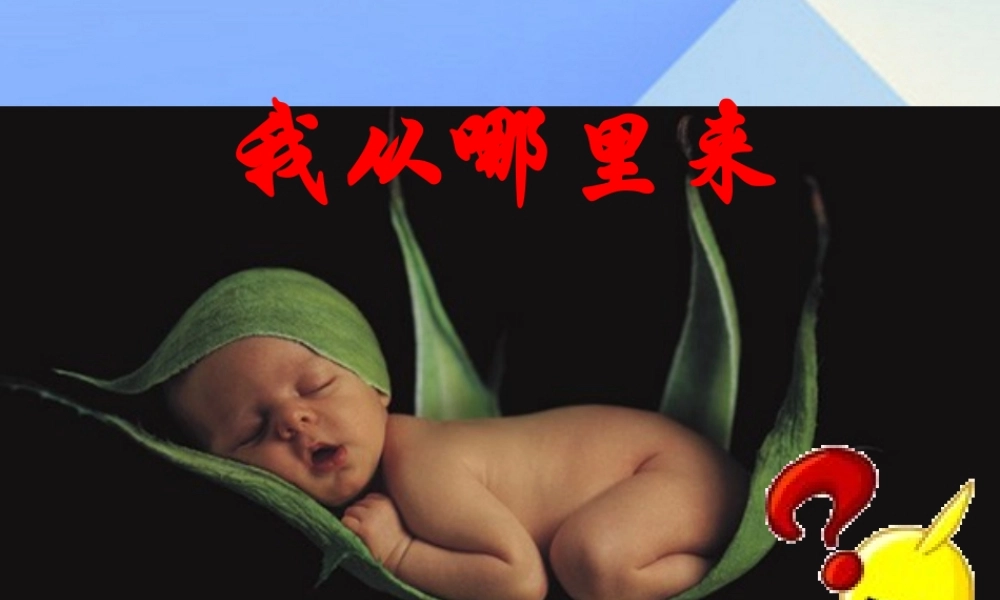 秋五年级科学上册 4.1《我从哪里来》课件3 大象版-大象版小学五年级上册自然科学课件