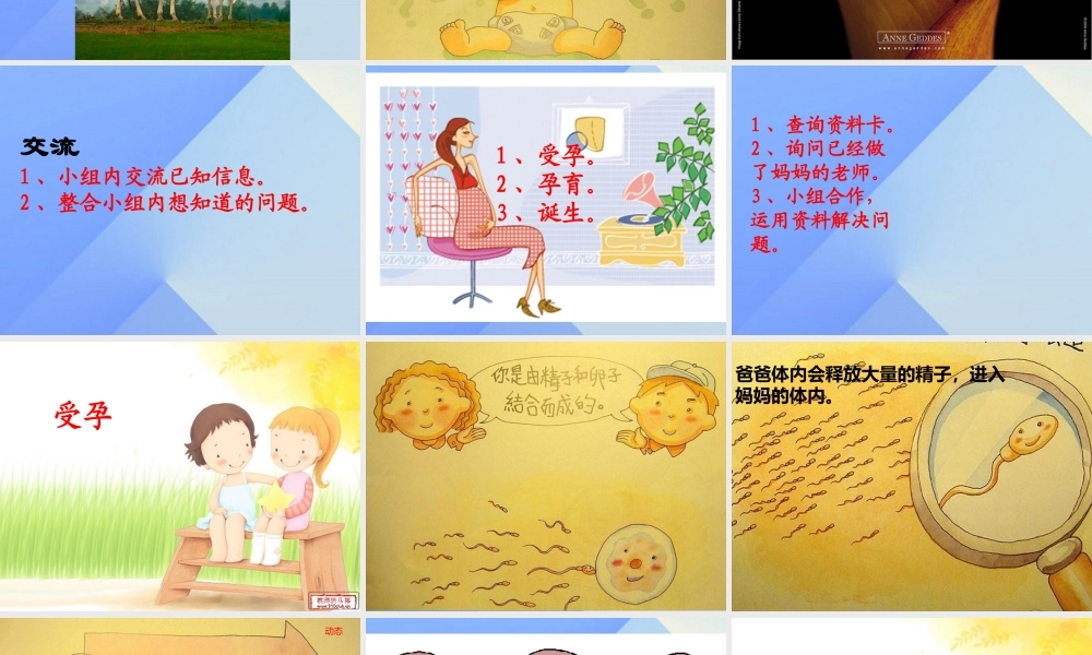 秋五年级科学上册 4.1《我从哪里来》课件3 大象版-大象版小学五年级上册自然科学课件