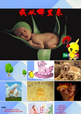 秋五年级科学上册 4.1《我从哪里来》课件3 大象版-大象版小学五年级上册自然科学课件