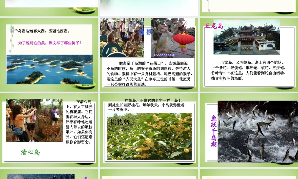 秋五年级语文上册《绿色千岛湖》课件4 北师大版-北师大版小学五年级上册语文课件