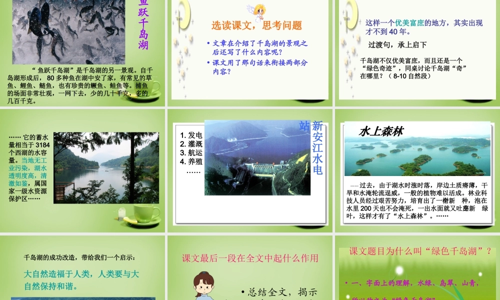 秋五年级语文上册《绿色千岛湖》课件4 北师大版-北师大版小学五年级上册语文课件