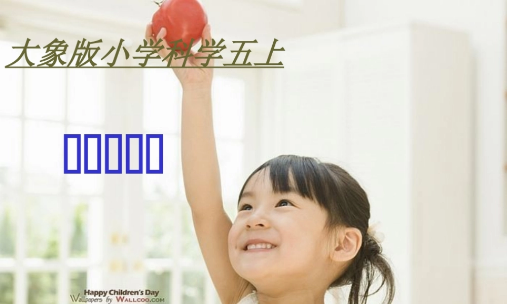 秋五年级科学上册 4.1《我从哪里来》课件4 大象版-大象版小学五年级上册自然科学课件