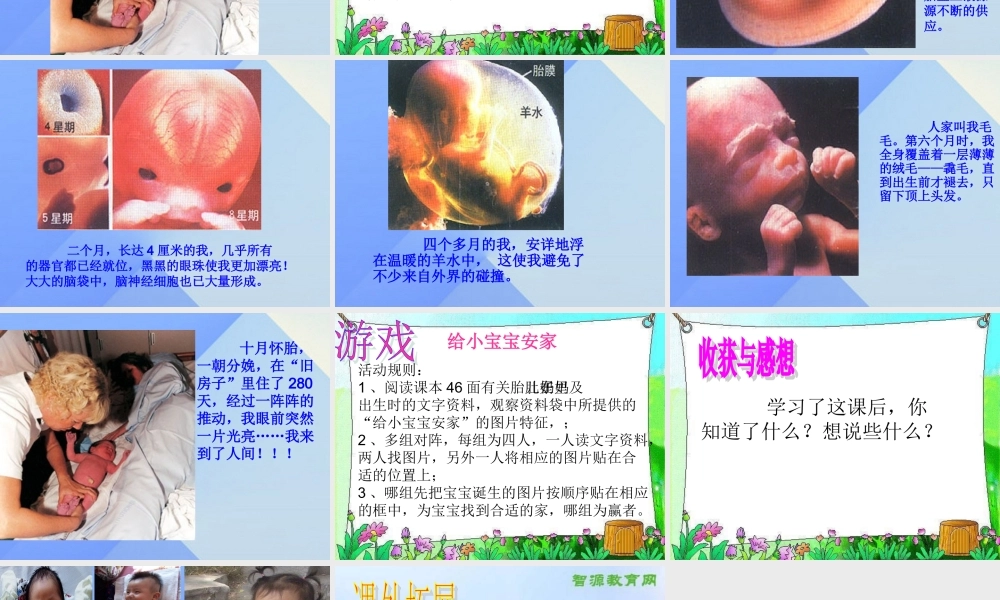 秋五年级科学上册 4.1《我从哪里来》课件4 大象版-大象版小学五年级上册自然科学课件