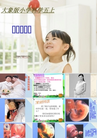 秋五年级科学上册 4.1《我从哪里来》课件4 大象版-大象版小学五年级上册自然科学课件