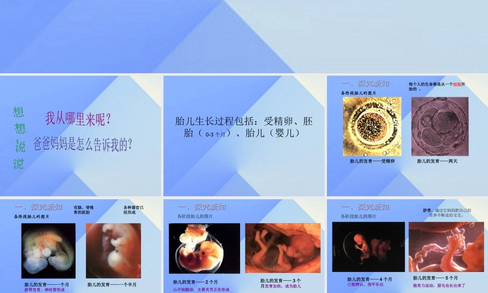 秋五年级科学上册 4.1《我从哪里来》课件5 大象版-大象版小学五年级上册自然科学课件