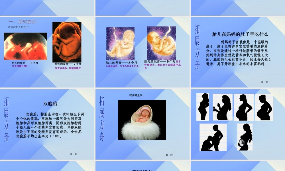 秋五年级科学上册 4.1《我从哪里来》课件5 大象版-大象版小学五年级上册自然科学课件