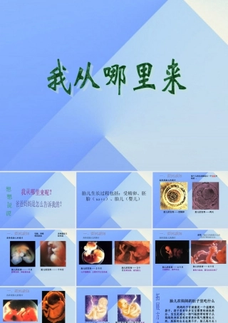 秋五年级科学上册 4.1《我从哪里来》课件5 大象版-大象版小学五年级上册自然科学课件