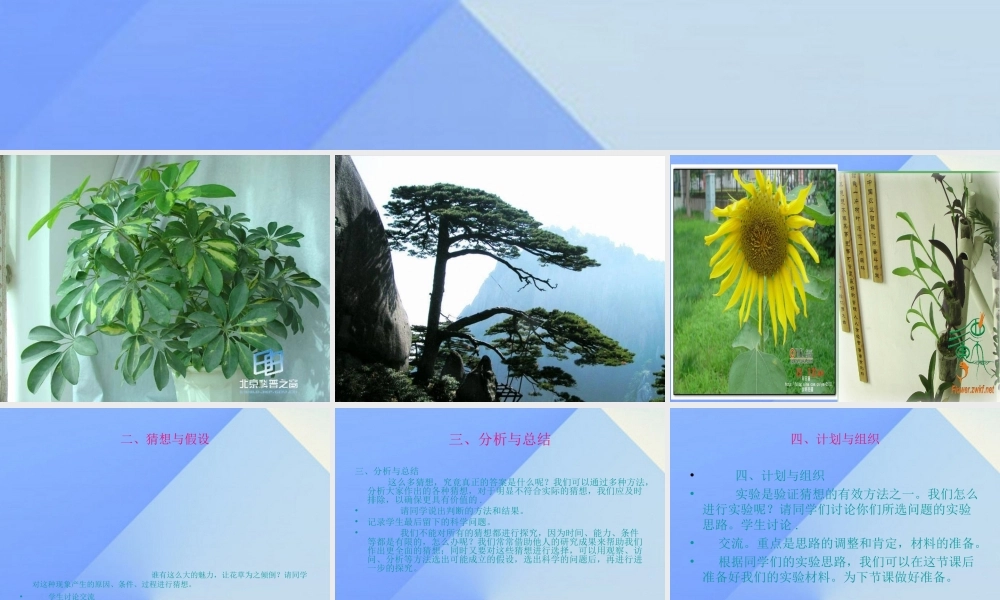 秋六年级科学上册 1.1《植物角里的科学问题》课件1 大象版-大象版小学六年级上册自然科学课件