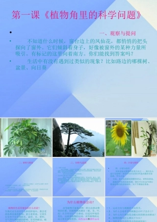 秋六年级科学上册 1.1《植物角里的科学问题》课件1 大象版-大象版小学六年级上册自然科学课件