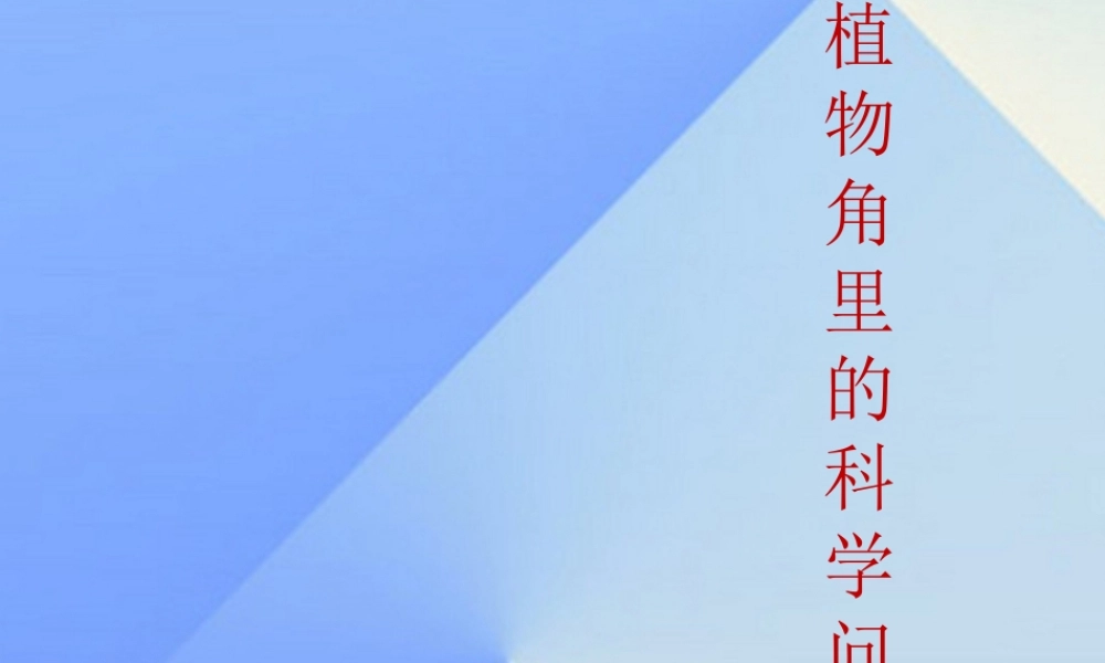 秋六年级科学上册 1.1《植物角里的科学问题》课件2 大象版-大象版小学六年级上册自然科学课件