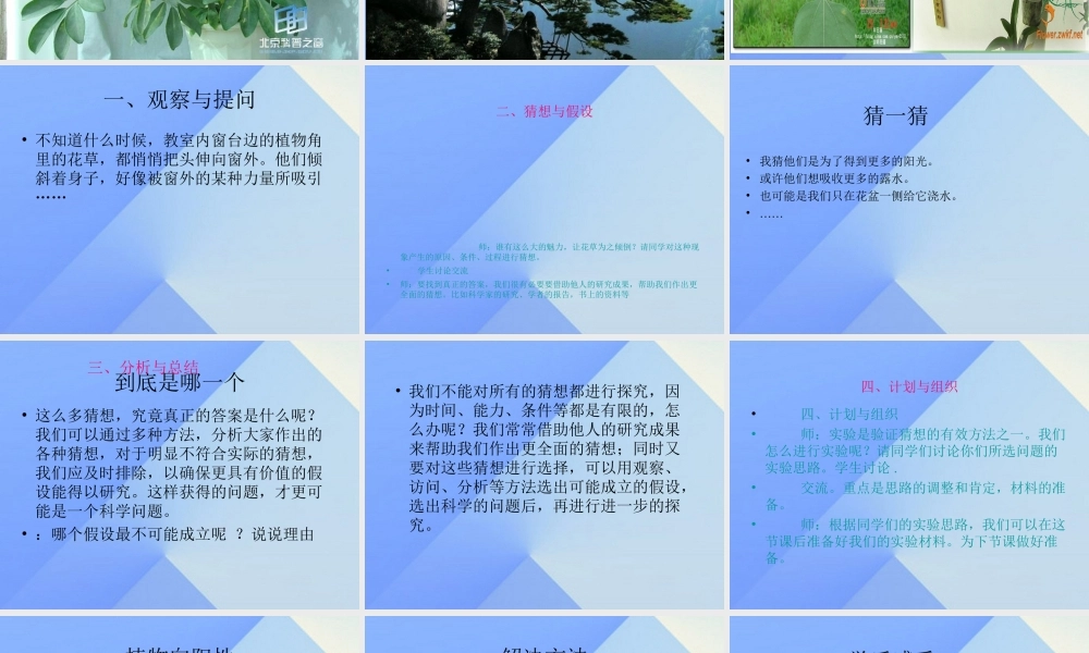 秋六年级科学上册 1.1《植物角里的科学问题》课件2 大象版-大象版小学六年级上册自然科学课件