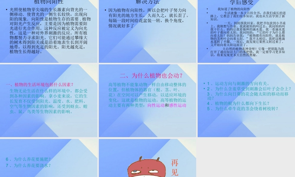 秋六年级科学上册 1.1《植物角里的科学问题》课件2 大象版-大象版小学六年级上册自然科学课件