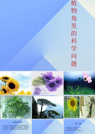 秋六年级科学上册 1.1《植物角里的科学问题》课件2 大象版-大象版小学六年级上册自然科学课件