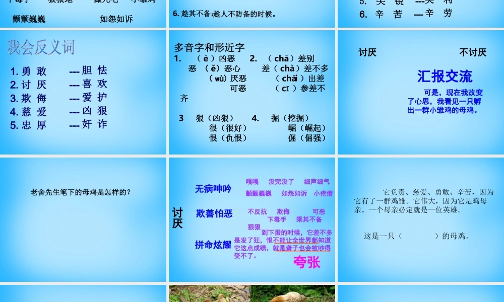 秋五年级语文上册《母鸡》课件1 沪教版-沪教版小学五年级上册语文课件